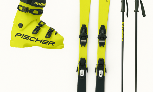Ski Alta Gama (Botas + Ski + Bastones)